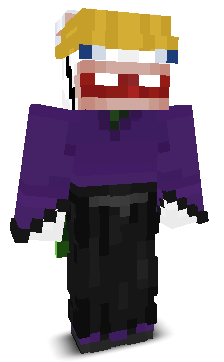 User's Minecraft appearance