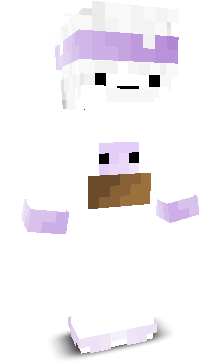 User's Minecraft appearance