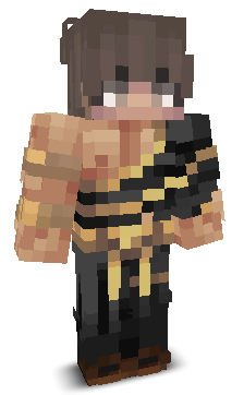 Skin gracza swaggerqesil
