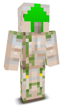 User's Minecraft appearance