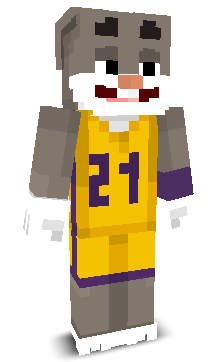 User's Minecraft appearance