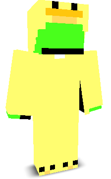 User's Minecraft appearance