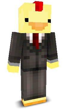 User's Minecraft appearance