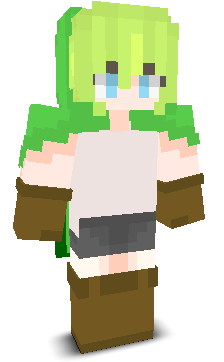 User's Minecraft appearance