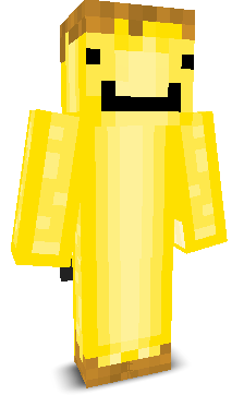 User's Minecraft appearance