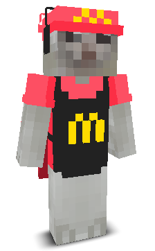 User's Minecraft appearance