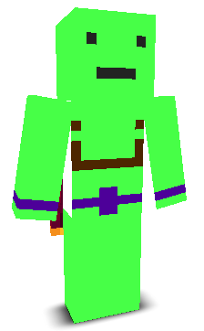 User's Minecraft appearance
