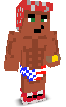 User's Minecraft appearance