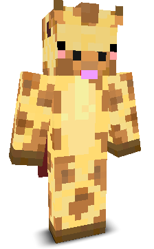 User's Minecraft appearance