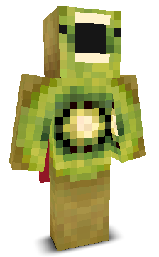 User's Minecraft appearance