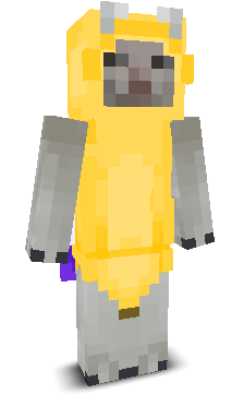 User's Minecraft appearance