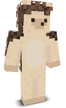 User's Minecraft appearance