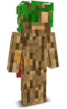 User's Minecraft appearance