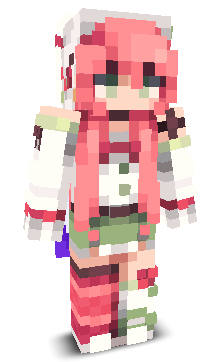 User's Minecraft appearance