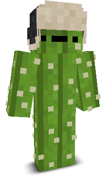 User's Minecraft appearance