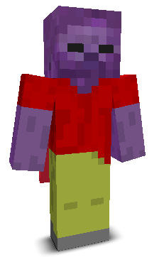 User's Minecraft appearance