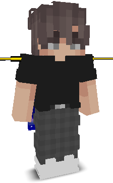 User's Minecraft appearance