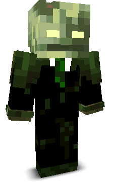 User's Minecraft appearance