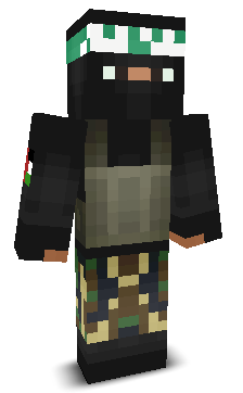 User's Minecraft appearance