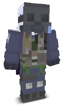 User's Minecraft appearance