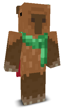 User's Minecraft appearance