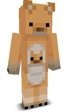 User's Minecraft appearance