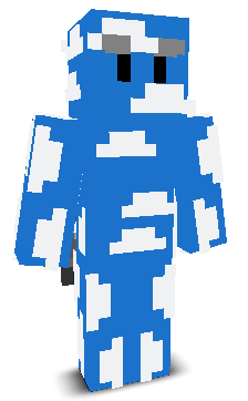 User's Minecraft appearance