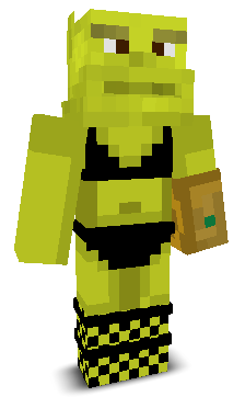 User's Minecraft appearance