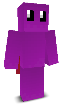 User's Minecraft appearance