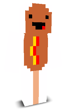 User's Minecraft appearance