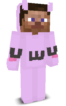 User's Minecraft appearance
