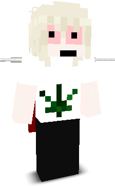 User's Minecraft appearance