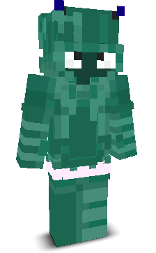User's Minecraft appearance