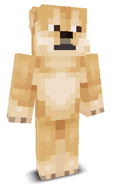 User's Minecraft appearance