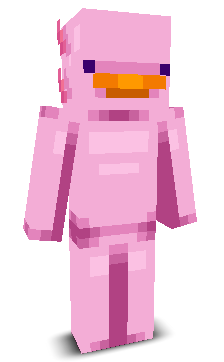 User's Minecraft appearance
