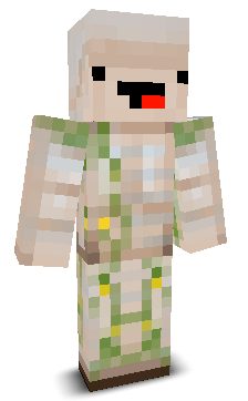 User's Minecraft appearance