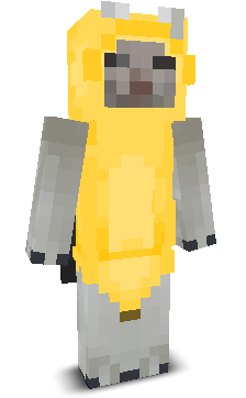 User's Minecraft appearance