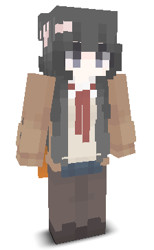 User's Minecraft appearance