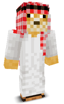 User's Minecraft appearance