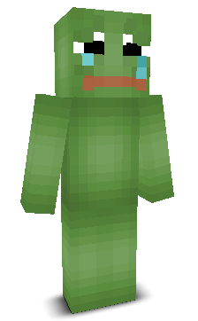 User's Minecraft appearance