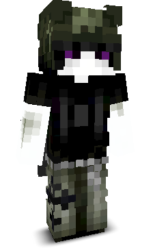 User's Minecraft appearance