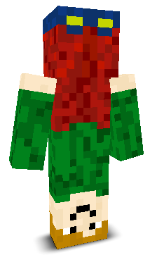 User's Minecraft appearance