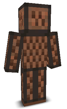 User's Minecraft appearance