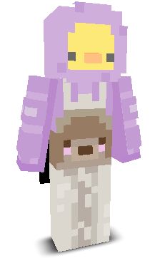 User's Minecraft appearance
