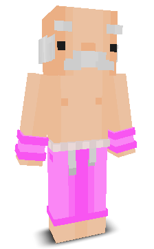 User's Minecraft appearance