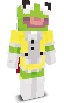 User's Minecraft appearance