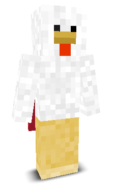 User's Minecraft appearance