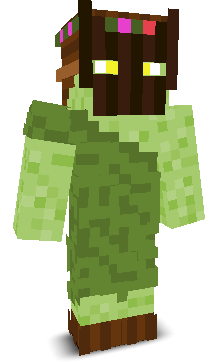 User's Minecraft appearance