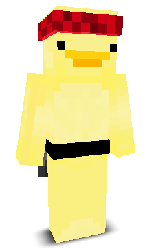 User's Minecraft appearance