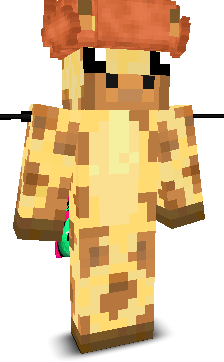 User's Minecraft appearance